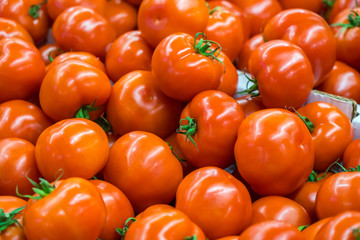 Ripe tomatoes at a farmer's market, healthy food