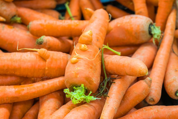 Fresh carrots at the local market, fresh food