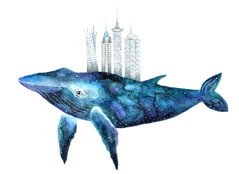 watercolor  whale