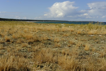 .DŸnen und DŸnenschutzwald an der Ostsee, Ostseebad Prerow, Nationalpark Vorpommersche Boddenlandschaft, Mecklenburg Vorpommern, Deutschland..