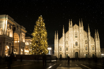 Milan (Italy) in winter: Christmas tree in front of Milan cathedral, Duomo square in december, night view. Starry sky.