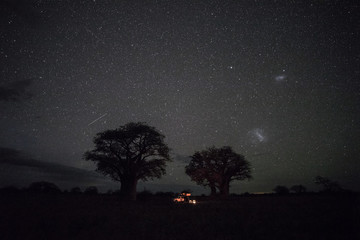 Baines Baobab campsite at night