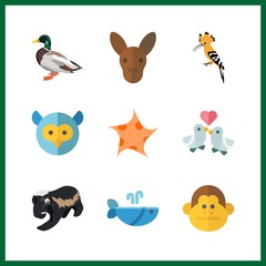 9 wildlife icon. Vector illustration wildlife set. monkey and kangaroo icons for wildlife works