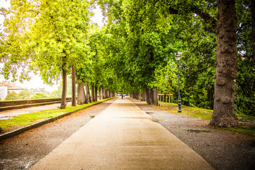 Road in the park