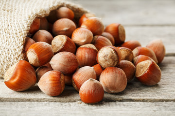 Hazelnuts in a cover, poured out from a bag from burlap on a gray wooden table