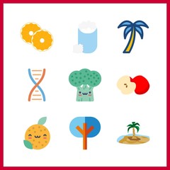 9 stem icon. Vector illustration stem set. palm tree and trees icons for stem works