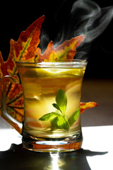yellowed leaf and green herbal tea
