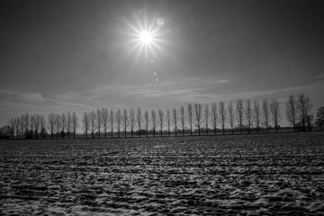 Fototapeta premium Panorami della campagna lodigiana