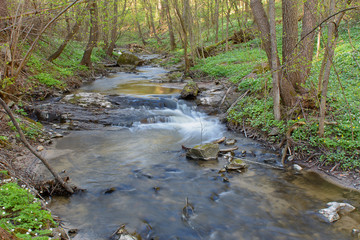 Naklejka na ściany i meble River in the forest in the spring