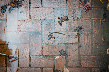 歩道の水たまり