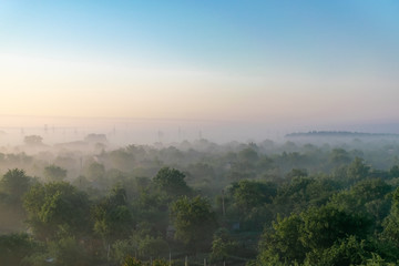 The sunrise in the summer on the outskirts of the city. Trees in the fog. On the horizon, power lines are visible