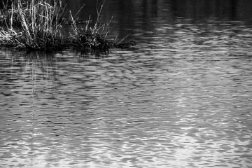 Campagna piemontese in primavera