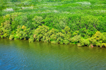 aerial view of green forest and river