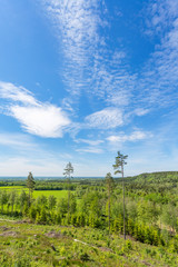 Fototapeta na wymiar Landscape view of a forest landscape