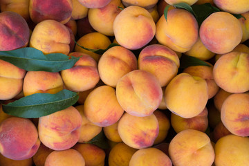 A close –up of fresh peaches.