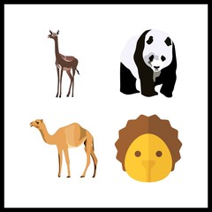 4 wildlife icon. Vector illustration wildlife set. camel and hedgehog icons for wildlife works