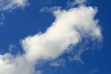 White clouds in the bright blue sky