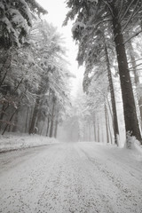 Snow-covered winter road.The forest and the road in the snow