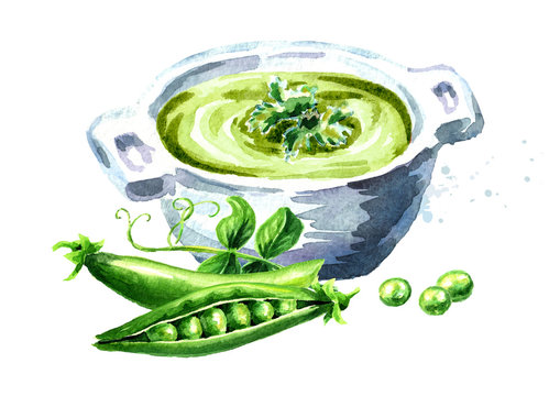 Fresh vegetable soup with green peas, Watercolor hand drawn illustration,  isolated on white background