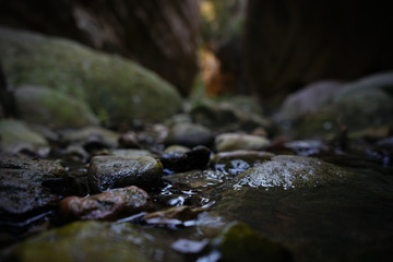 Fototapeta na wymiar rocks in the canyon