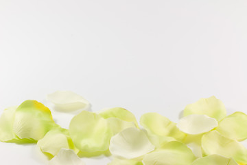 Einladungskarte mit gelben Blüten auf weißem Hintergrund