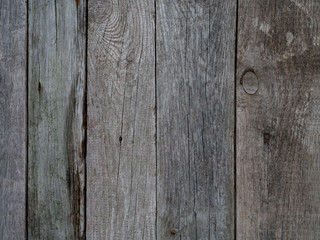 Old Wooden Vintage Gate. Background and Texture for text or image.