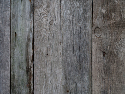 Old Wooden Vintage Gate. Background and Texture for text or image.