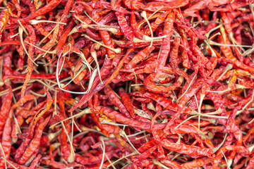 Dry hot chillis background. food ingredient