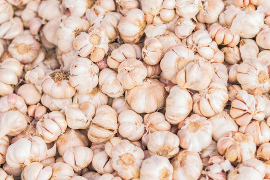 Fresh galic ready for sale in market.