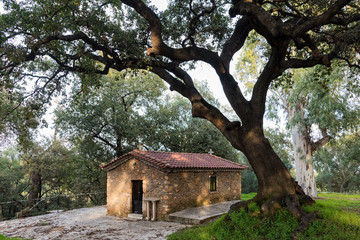 Fototapeta na wymiar Old church under an oak near the village of Karteroli in Peloponnese, Greece