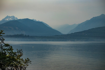 tree arching over the waters of puget sound in washington with mountains in background