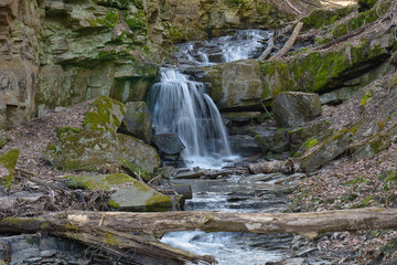 Waterfall in the forest in the spring