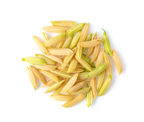 organic paddy rice top view of thai jasmine