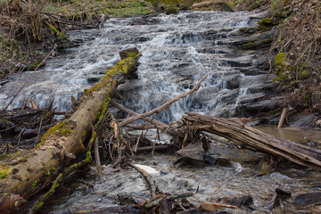 Waterfall in the forest in the spring