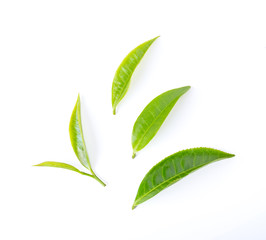 tea leaf isolated on white background. top view