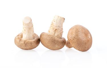 fresh shiitake mushrooms on white background. top view