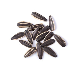 sunflower seeds isolated on white background. top view