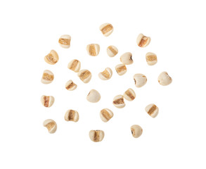 Job's tears isolated on white background. top view