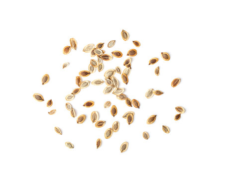 Heap dill seed isolated on white background. top view