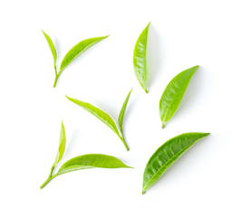 tea leaf isolated on white background. top view