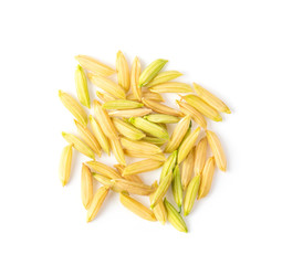 organic paddy rice top view of thai jasmine. top view