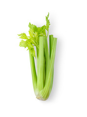 Celery isolated on white background. top view