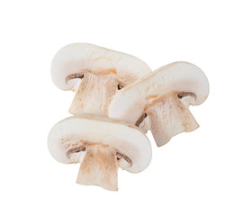 Raw slice champignon isolated on white background. top view
