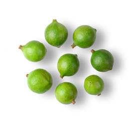 macadamia nuts on white background . top view
