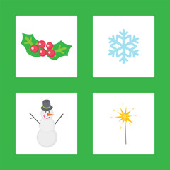 Fototapeta premium Christmas Mistletoe, Symbols of Winter Holiday