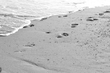 Imprint your feet on the sand. Footprints in the sand