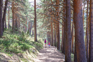 from behind mountaineer little girl looking back next to a woman hiking on a path in forest of...