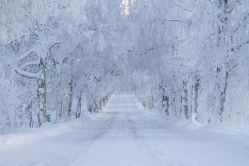 Winter in Östersund Sweden