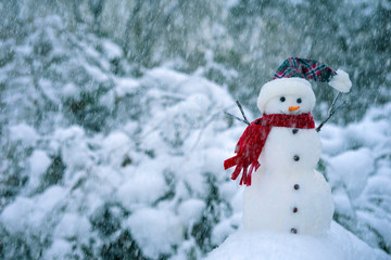 Snowman on a background of blue winter forest.