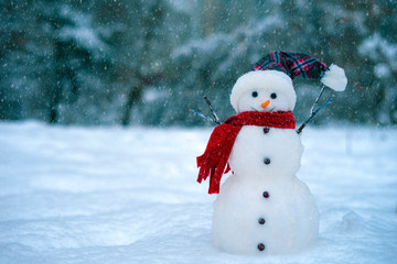 Snowman on a background of blue winter forest.